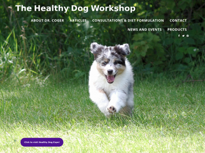healthydogworkshop.com snapshot