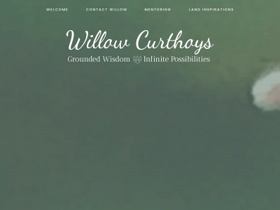 willowcurthoys.com snapshot