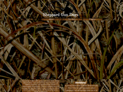 sheppardgundogs.com snapshot