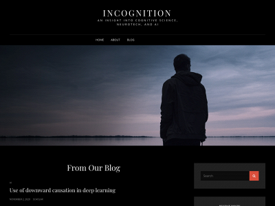 incognition.blog snapshot