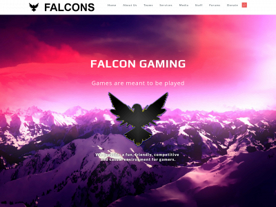 falcon-gaming.net snapshot