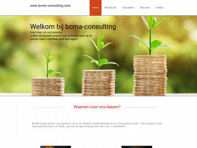 bcma-consulting.com snapshot