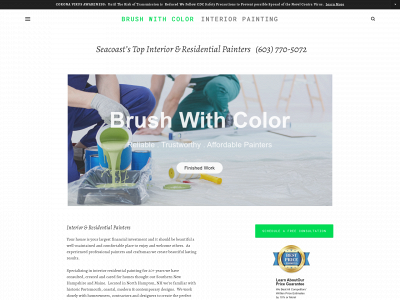 www.brushwithcolor.com snapshot