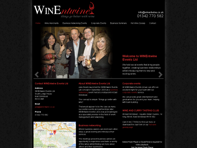 winentwine.co.uk snapshot