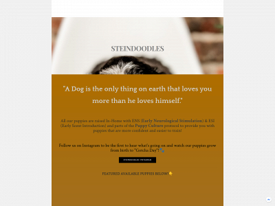 www.steindoodles.com snapshot