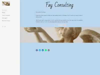 fayconsulting.nl snapshot