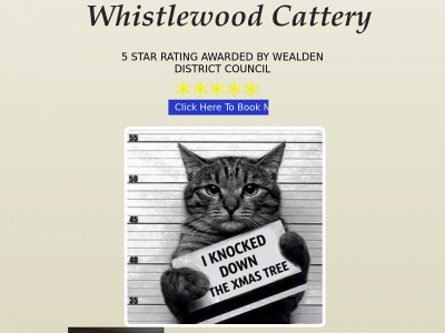 whistlewoodcattery.co.uk snapshot