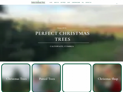 perfectxmastrees.co.uk snapshot
