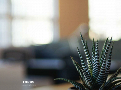 torus.family snapshot