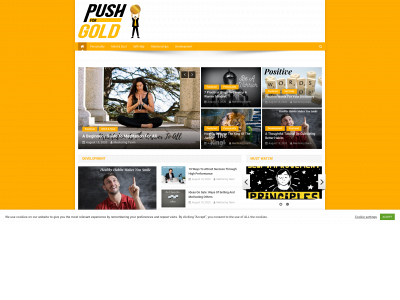 pushforgold.com snapshot