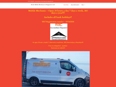 ricky-mobilemechanic-diagnostics.co.uk snapshot
