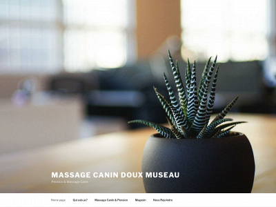 massagecanindouxmuseau.com snapshot