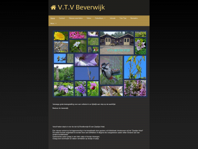 vtv-beverwijk.nl snapshot