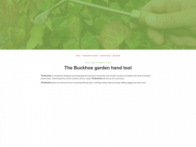 buckhoe.co.uk snapshot