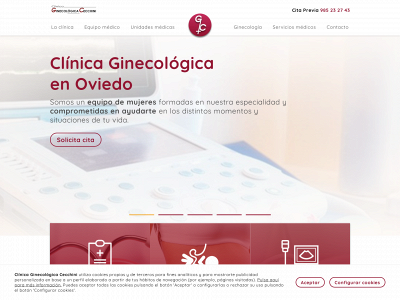 www.clinicaginecologicacecchini.com snapshot