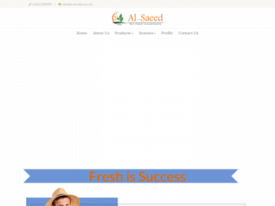 al-saeedgroup.com snapshot