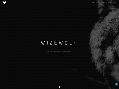 wizewolf.com snapshot