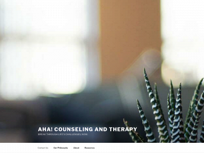 ahacounselingandtherapy.com snapshot