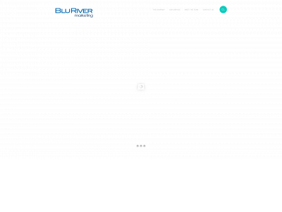 blurivermarketing.net snapshot