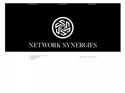 networksynergies.se snapshot