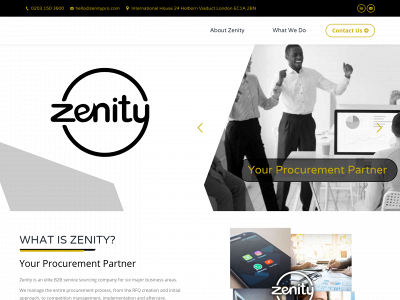 zenitypro.com snapshot