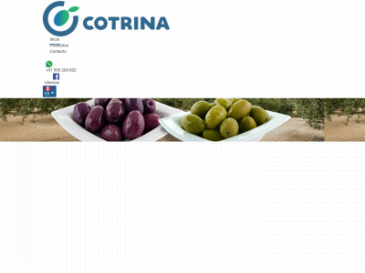 cotrinaexports.com snapshot