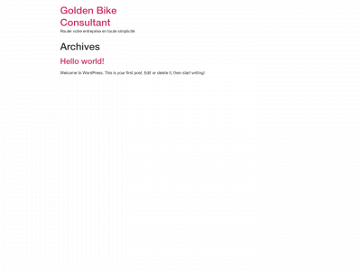 goldenbikeconsultant.com snapshot