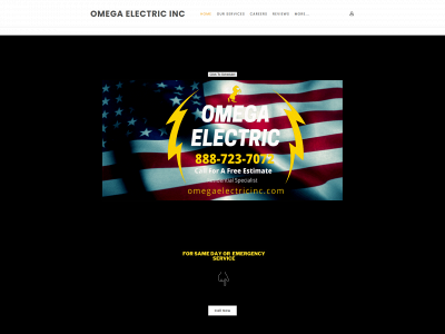 www.omegaelectricinc.com snapshot