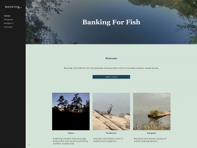 bankingforfish.com snapshot