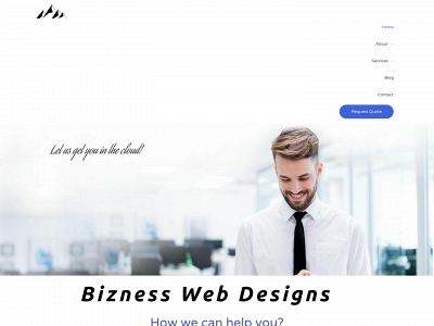 biznesswebdesigns.com snapshot