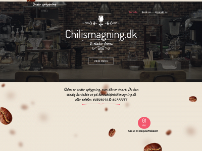 chilismagning.dk snapshot
