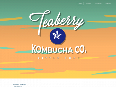 www.teaberrykombucha.com snapshot