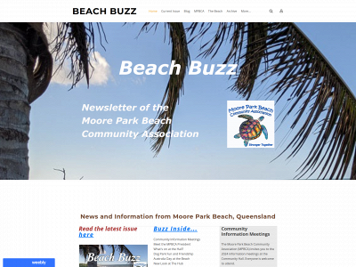 beachbuzz.weebly.com snapshot
