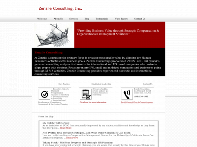 zenzileconsulting.com snapshot