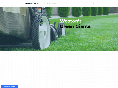 cleangreengiants.weebly.com snapshot