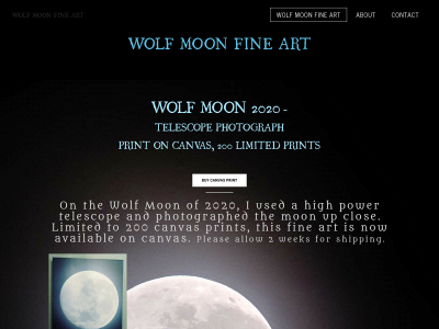 wolfmoonfineart.weebly.com snapshot