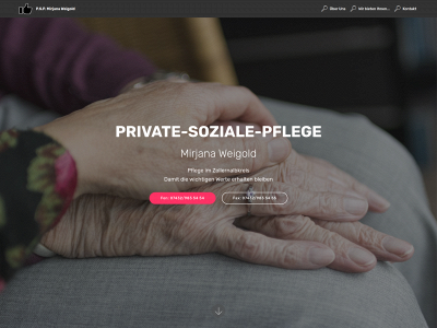 private-soziale-pflege.de snapshot