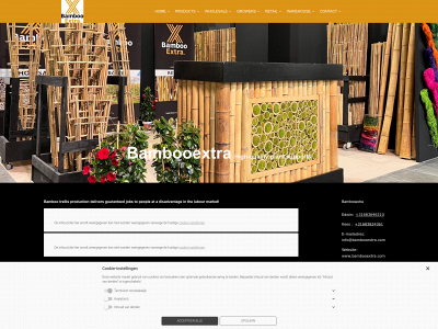 bambooextra.com snapshot