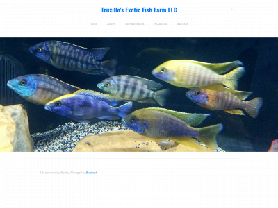 truxilloexoticfishfarm.com snapshot