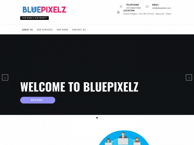 bluepixelz.com snapshot