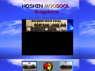 hoshinmoosool.be snapshot