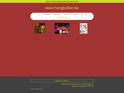 hangballen.be snapshot