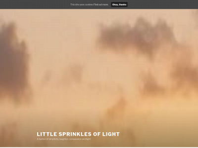 littlesprinklesoflight.com snapshot