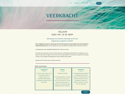 veerkrachtpsychotherapie.nl snapshot
