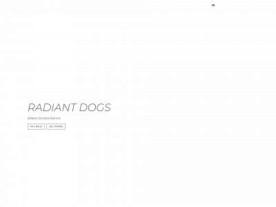 radiantdogs.com snapshot