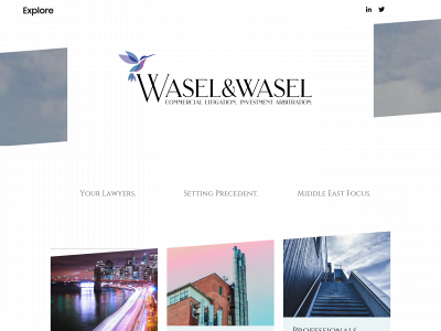 waselandwasel.com snapshot