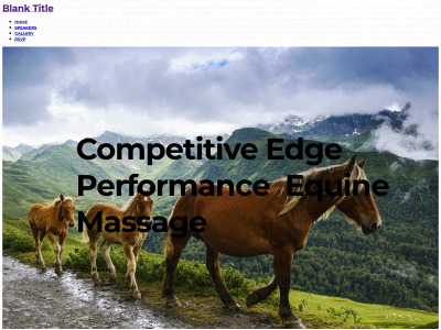 competitive-edge-performance.com snapshot