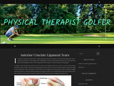 physicaltherapistgolfer.com snapshot