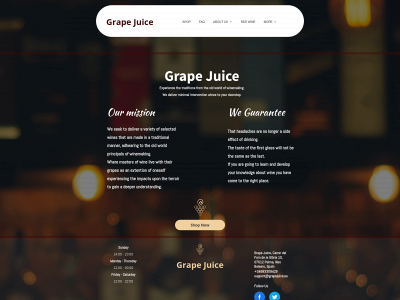 grapejuice.es snapshot