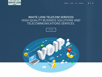 white-lion-services.com snapshot